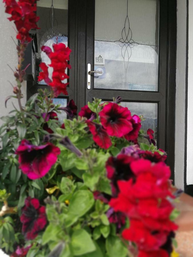 The Three Arches Bed & Breakfast Louisburgh Ngoại thất bức ảnh